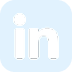 LinkedIn Icon