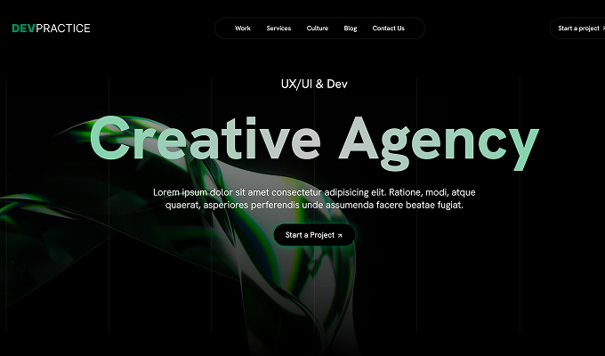 Portfolio project image